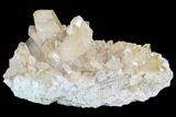 Quartz Crystal Cluster - Brazil #93046-2